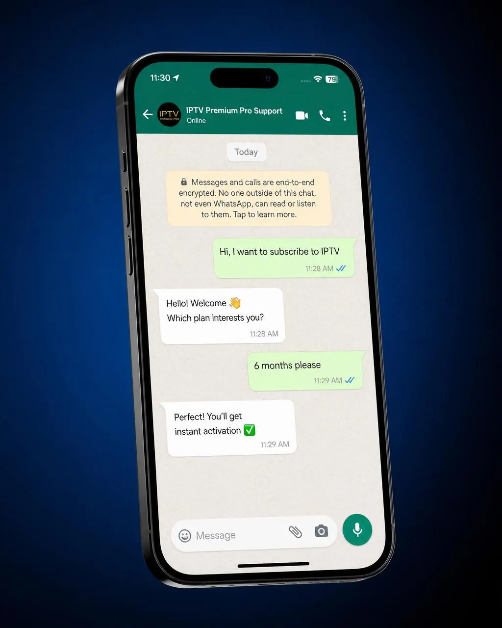 WhatsApp chat with IPTV Premium Pro customer support